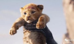 狮子王3在线观看,荣耀重燃，在线重温经典动画