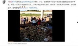 信阳学生家长爆料视频最新,揭秘校园安全问题